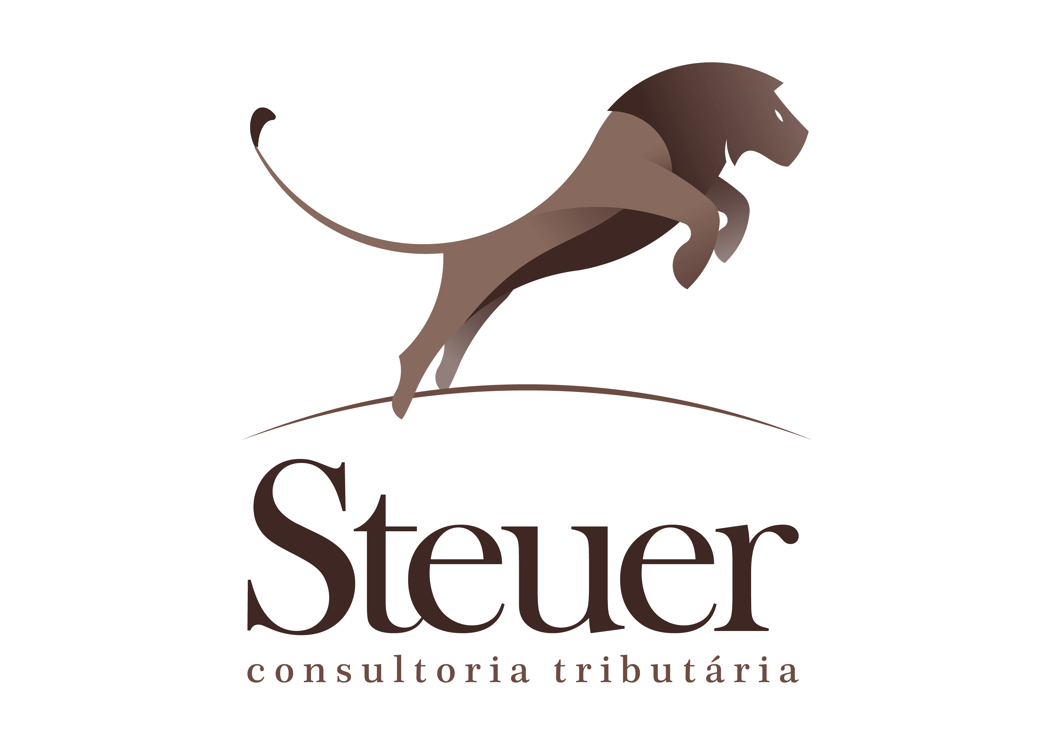 Steuer Consultoria Tributária